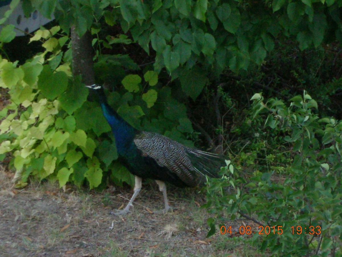 Peacock Villa Upper エパノミ エクステリア 写真
